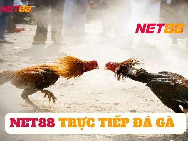 trực tiếp đá gà net88